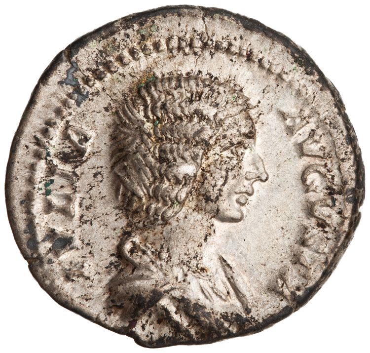 RIC IV Septimius Severus 546, obverse, American Numismatic Society (ans)