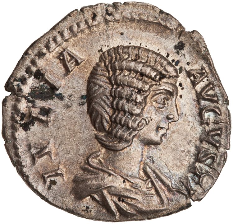 RIC IV Septimius Severus 553, аверс, American Numismatic Society (ans)