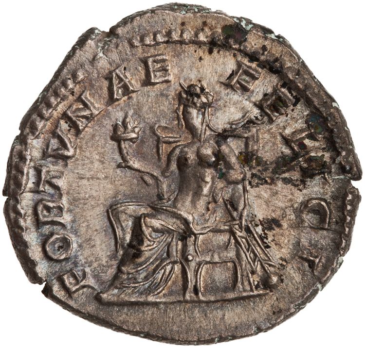 RIC IV Septimius Severus 553, реверс, American Numismatic Society (ans)