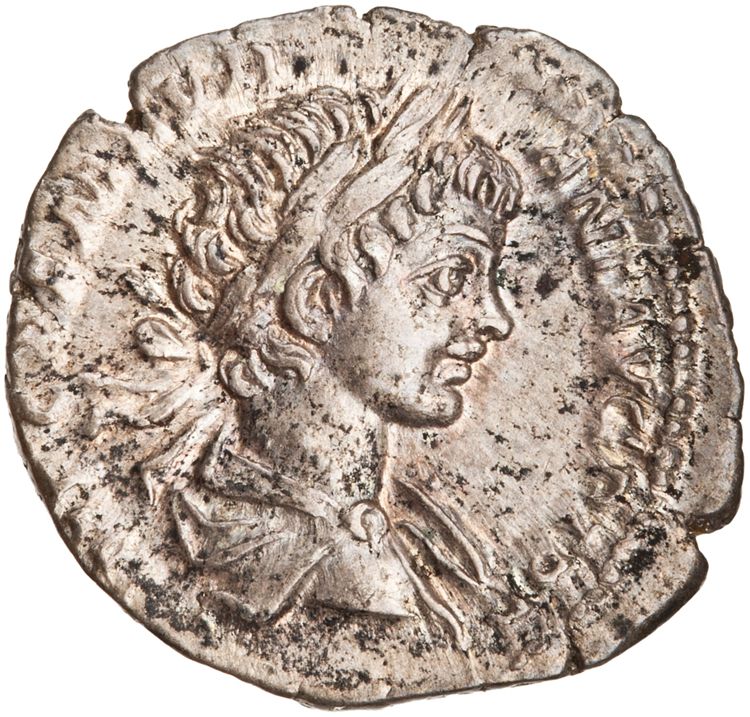 RIC IV Caracalla 24a, аверс, American Numismatic Society (ans)