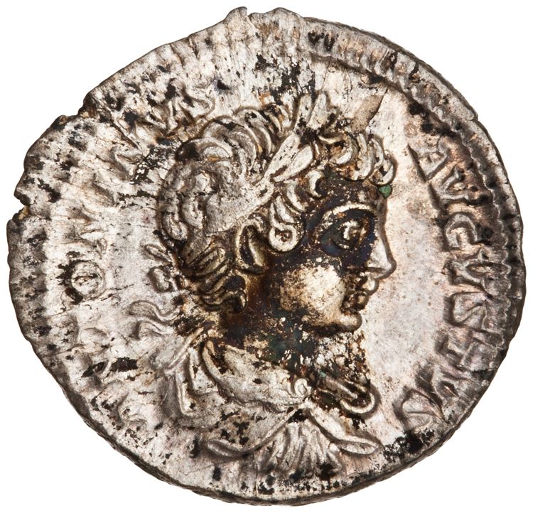 RIC IV Caracalla 29 (denarius), аверс, American Numismatic Society (ans)