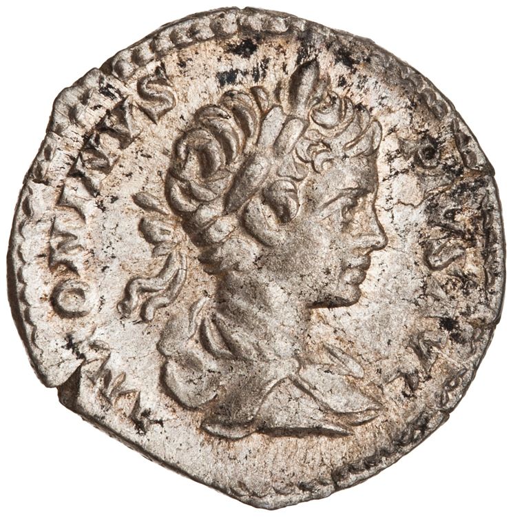 RIC IV Caracalla 54B, аверс, American Numismatic Society (ans)