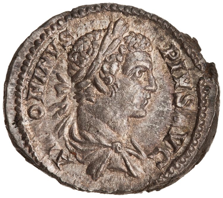 RIC IV Caracalla 150, аверс, American Numismatic Society (ans)