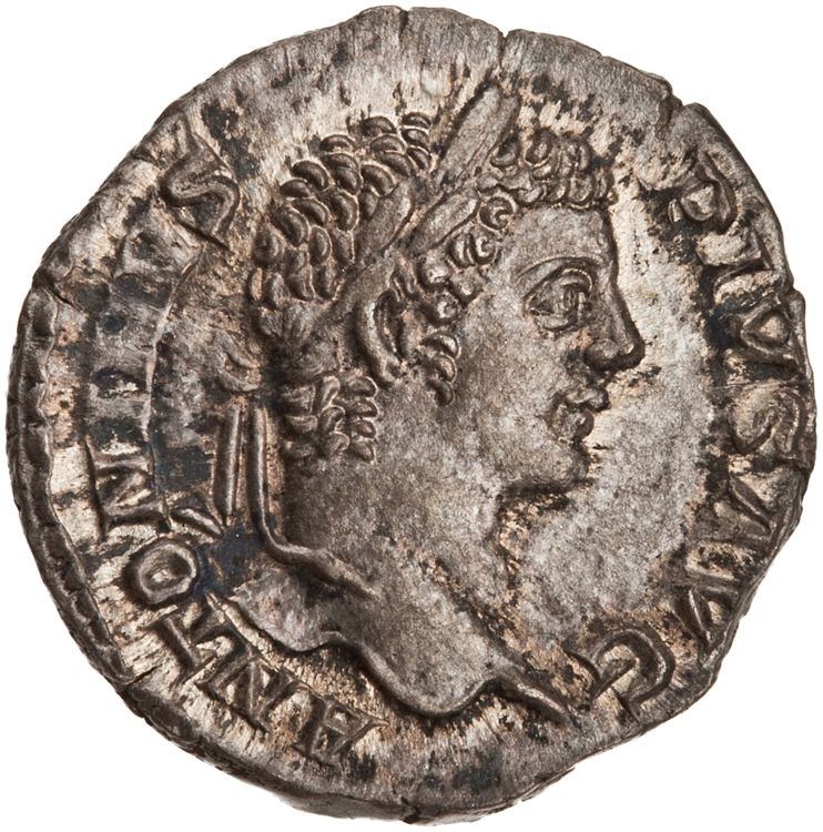 RIC IV Caracalla 83a, аверс, American Numismatic Society (ans)