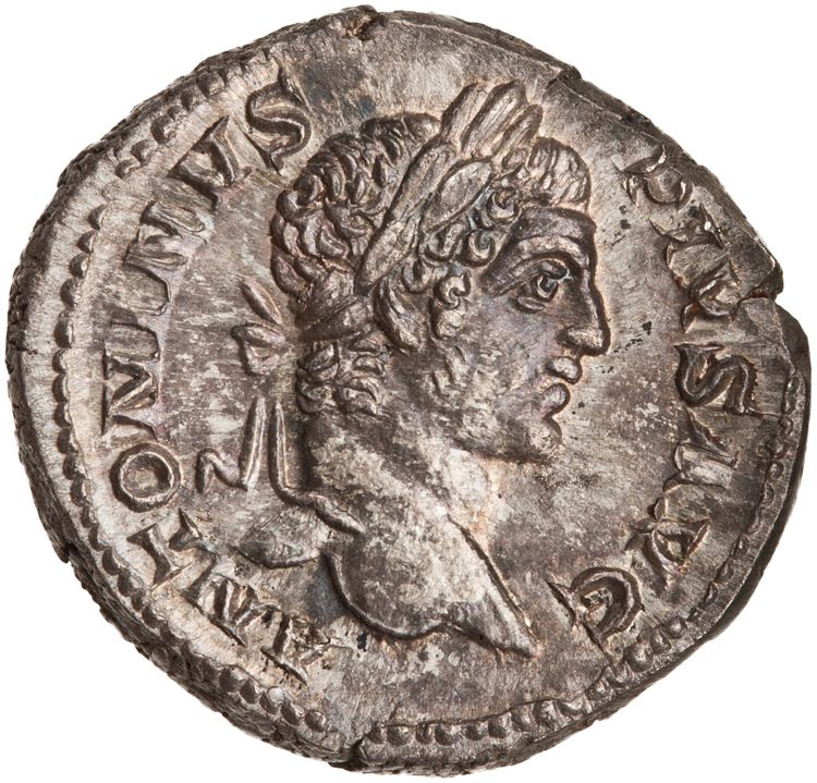 RIC IV Caracalla 179, аверс, American Numismatic Society (ans)
