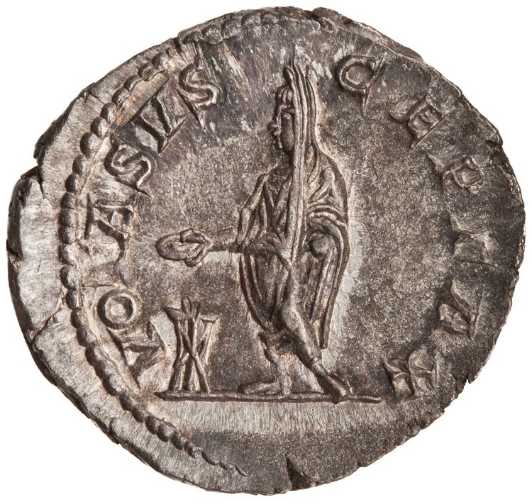 RIC IV Caracalla 179, реверс, American Numismatic Society (ans)