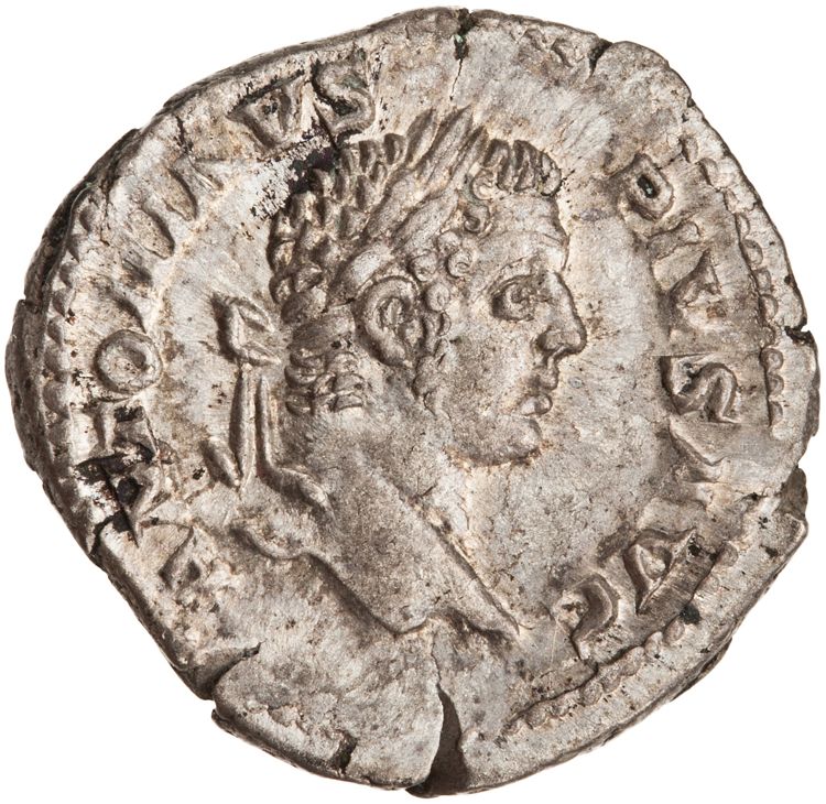 RIC IV Caracalla 88, аверс, American Numismatic Society (ans)