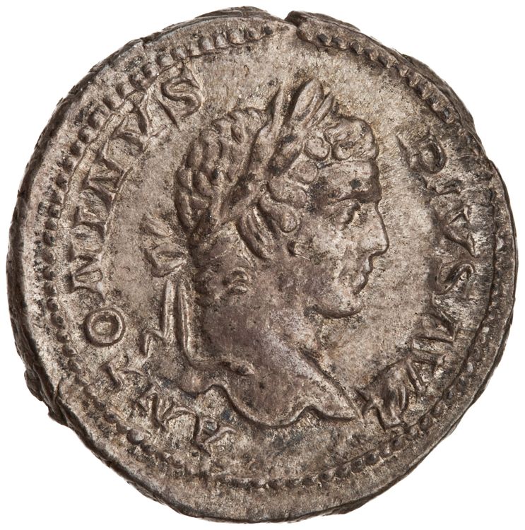 RIC IV Caracalla 107, аверс, American Numismatic Society (ans)