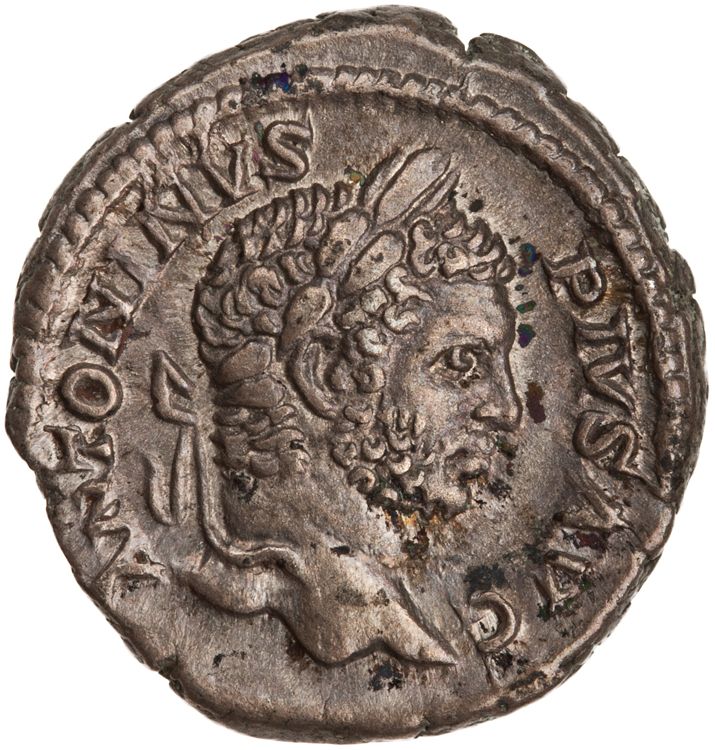 RIC IV Caracalla 117A, аверс, American Numismatic Society (ans)