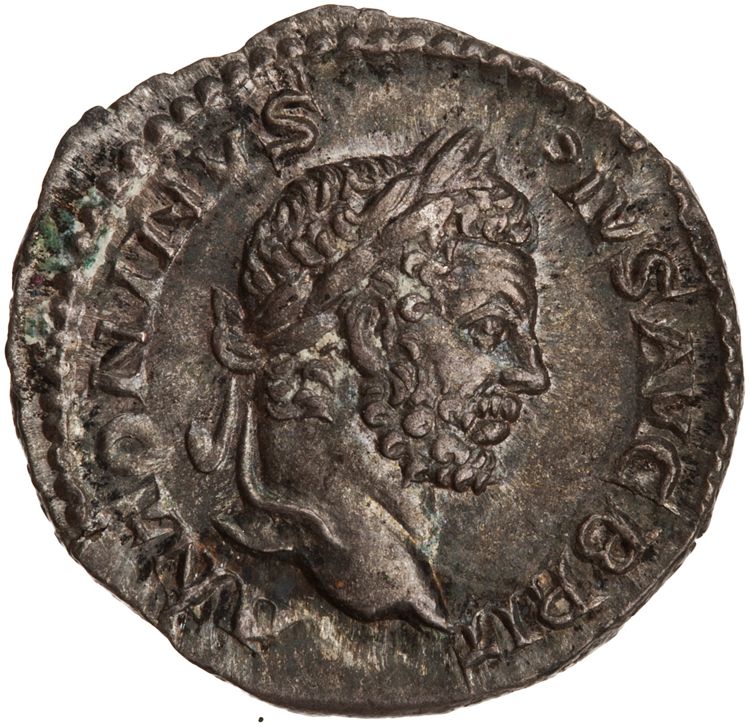 RIC IV Caracalla 116B, аверс, American Numismatic Society (ans)