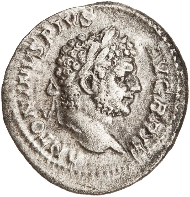 RIC IV Caracalla 223, аверс, American Numismatic Society (ans)