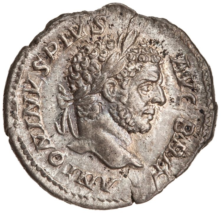 RIC IV Caracalla 224, аверс, American Numismatic Society (ans)