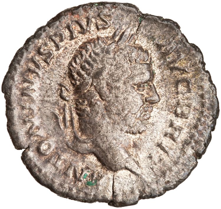 RIC IV Caracalla 231A, аверс, American Numismatic Society (ans)
