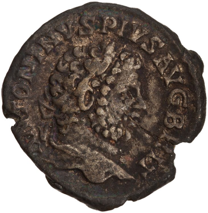 RIC IV Caracalla 189, obverse, American Numismatic Society (ans)