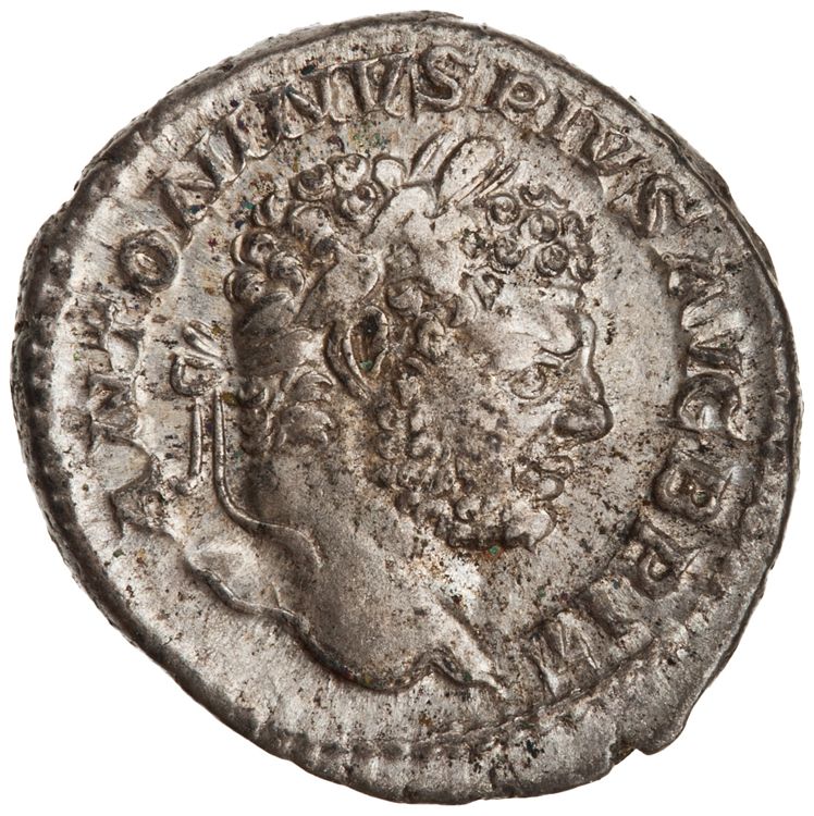 RIC IV Caracalla 192 (denarius), аверс, American Numismatic Society (ans)