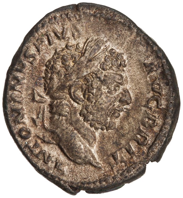 RIC IV Caracalla 194, аверс, American Numismatic Society (ans)