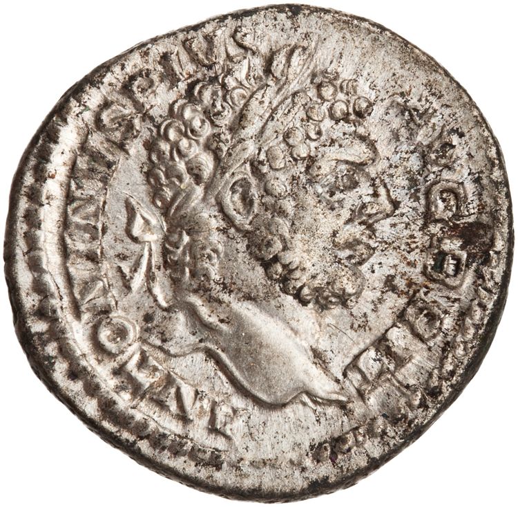 RIC IV Caracalla 195, аверс, American Numismatic Society (ans)