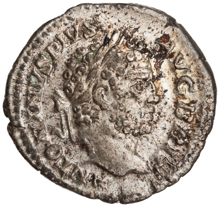 RIC IV Caracalla 206A, аверс, American Numismatic Society (ans)