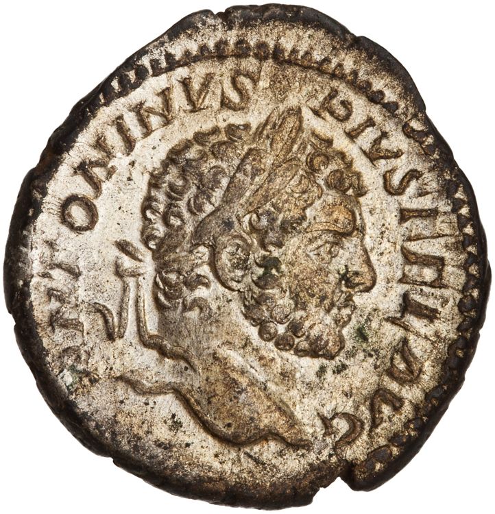 RIC IV Caracalla 208b, аверс, American Numismatic Society (ans)