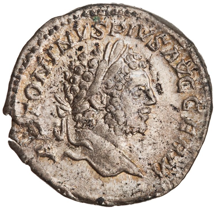 RIC IV Caracalla 307, аверс, American Numismatic Society (ans)