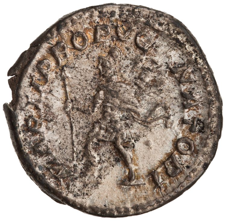RIC IV Caracalla 307, реверс, American Numismatic Society (ans)