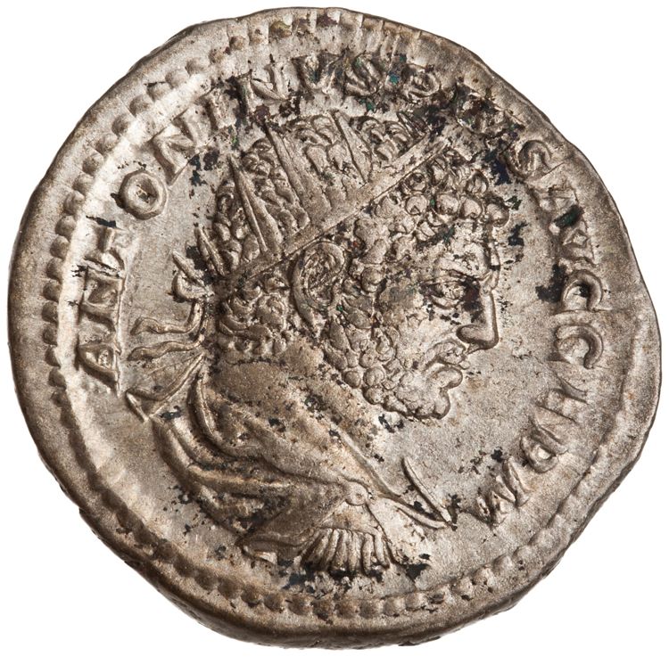аверс RIC IV Caracalla 311C (antoninianus)