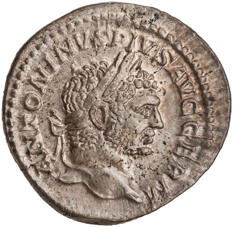 RIC IV Caracalla 311B, obverse, American Numismatic Society (ans)