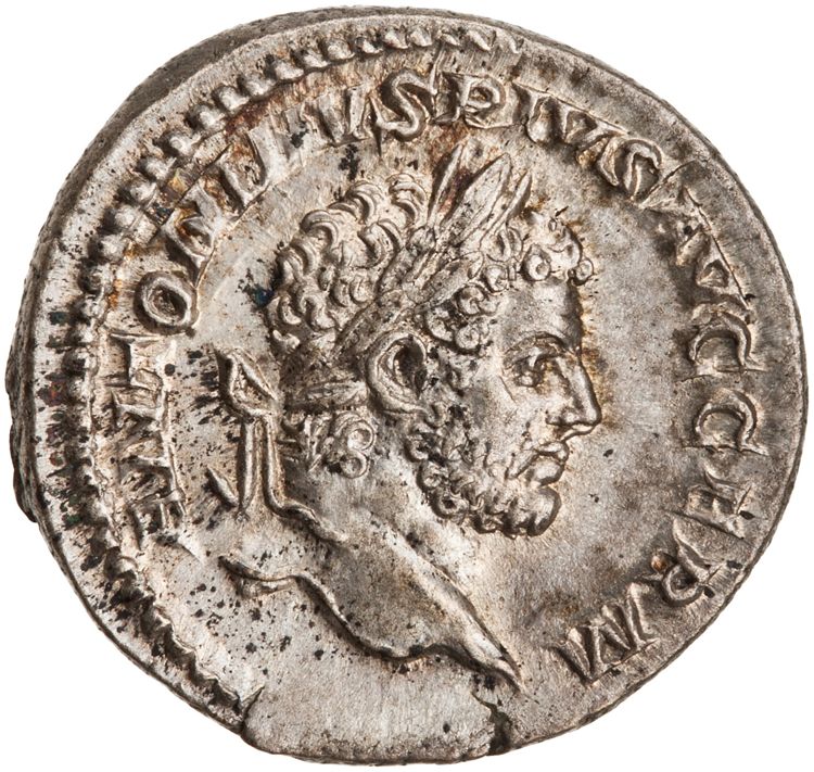 RIC IV Caracalla 238A, аверс, American Numismatic Society (ans)
