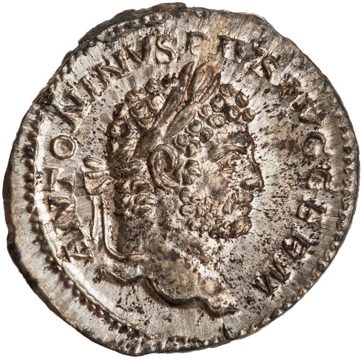 RIC IV Caracalla 240, аверс, American Numismatic Society (ans)