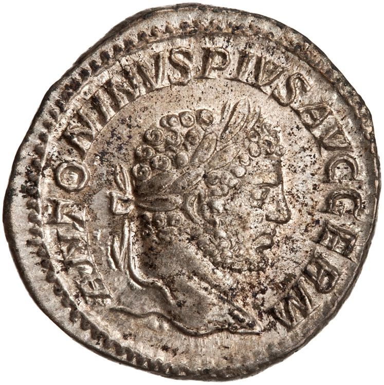 RIC IV Caracalla 251, аверс, American Numismatic Society (ans)