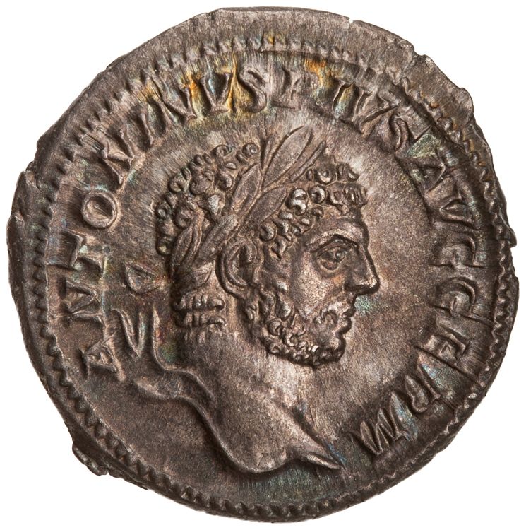 RIC IV Caracalla 254, аверс, American Numismatic Society (ans)