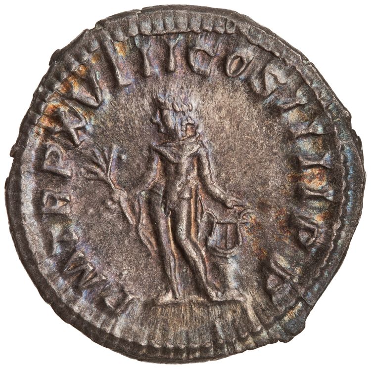 RIC IV Caracalla 254, реверс, American Numismatic Society (ans)