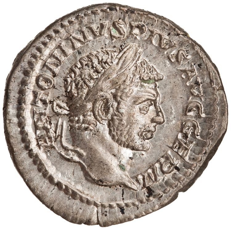 RIC IV Caracalla 258C, аверс, American Numismatic Society (ans)