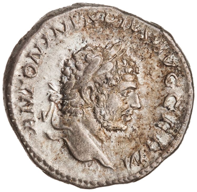 RIC IV Caracalla 267, аверс, American Numismatic Society (ans)