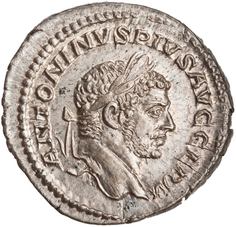 RIC IV Caracalla 281B, аверс, American Numismatic Society (ans)