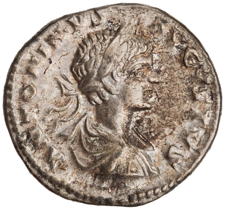 RIC IV Caracalla 350, аверс, American Numismatic Society (ans)