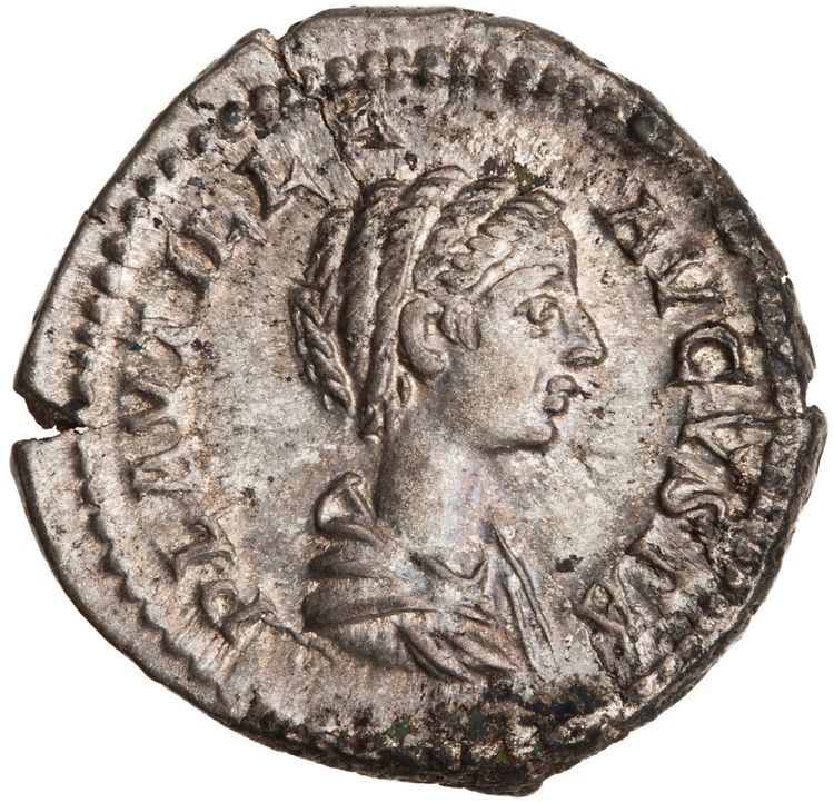 RIC IV Caracalla 363A, аверс, American Numismatic Society (ans)