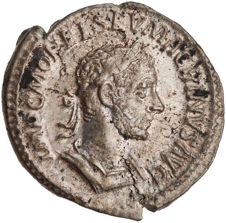 RIC IV Macrinus 59, аверс, American Numismatic Society (ans)