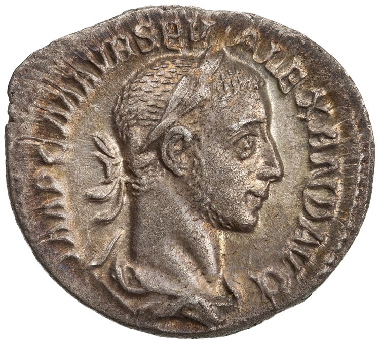 RIC IV Severus Alexander 65, obverse, American Numismatic Society (ans)