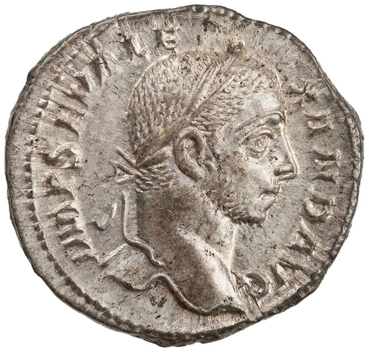 RIC IV Severus Alexander 220a, аверс, American Numismatic Society (ans)