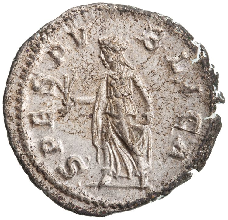 RIC IV Severus Alexander 254d, реверс, American Numismatic Society (ans)