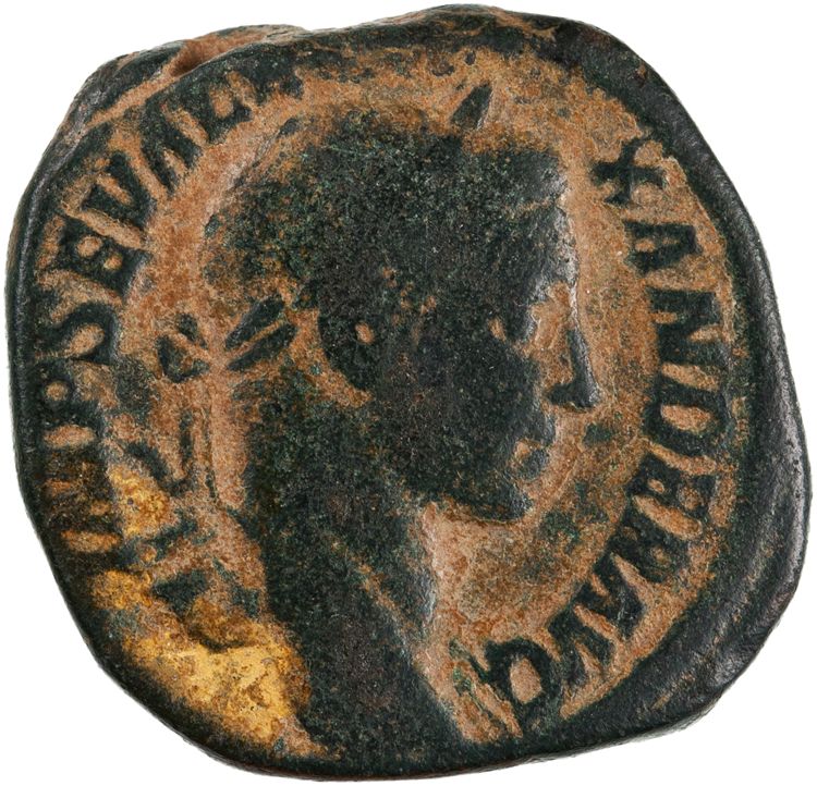 RIC IV Severus Alexander 477, аверс, American Numismatic Society (ans)