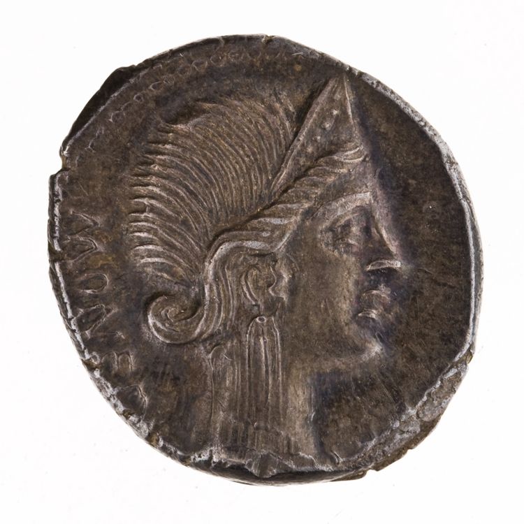 RRC 396/1b, obverse, American Numismatic Society (ans)