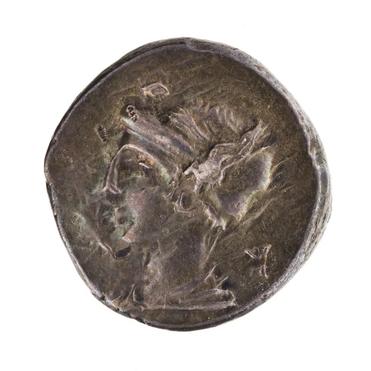 RRC 405/1b, obverse, American Numismatic Society (ans)