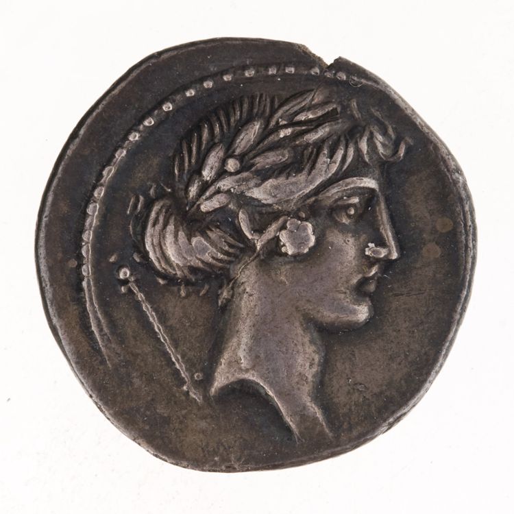RRC 410/4, obverse, American Numismatic Society (ans)