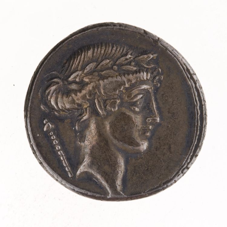 RRC 410/4, obverse, American Numismatic Society (ans)