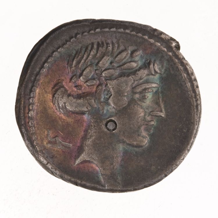 RRC 410/9a, obverse, American Numismatic Society (ans)