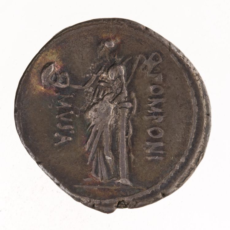 RRC 410/9a, reverse, American Numismatic Society (ans)