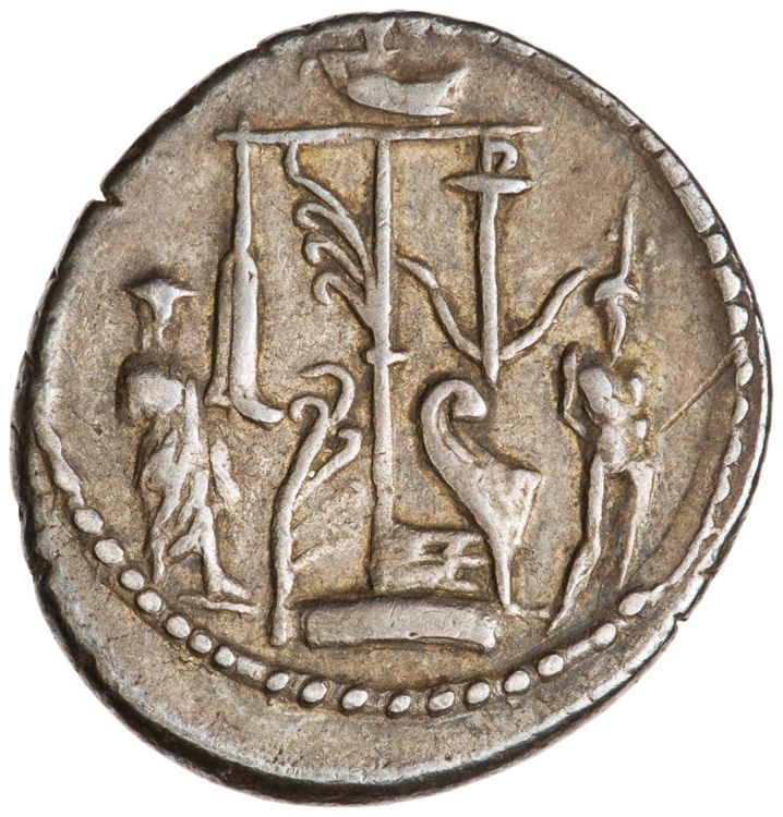 RRC 438/1, реверс, American Numismatic Society (ans)