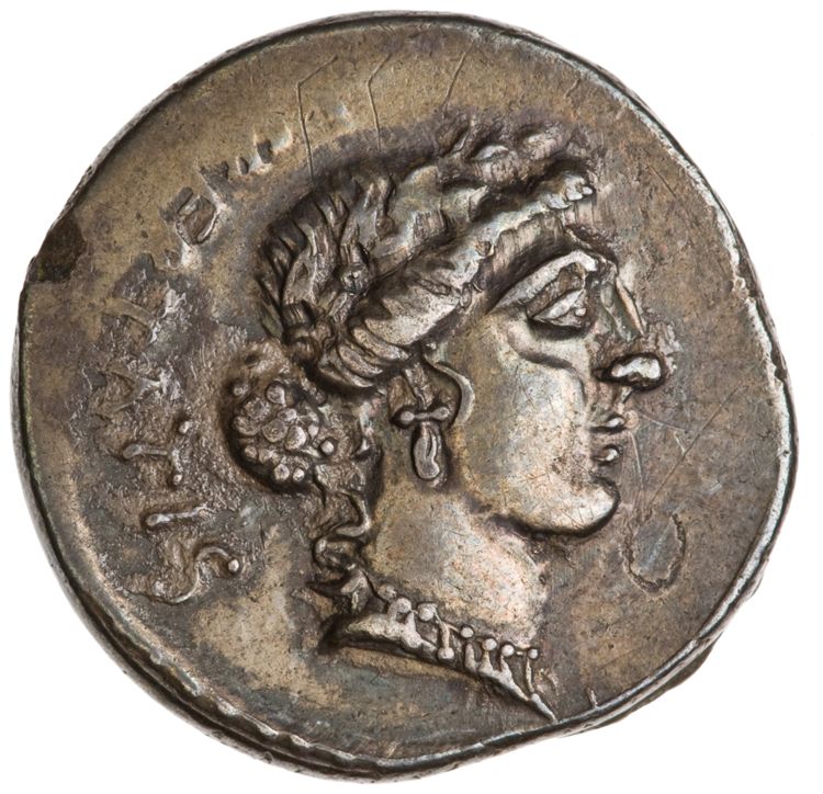 RRC 449/4, obverse, American Numismatic Society (ans)